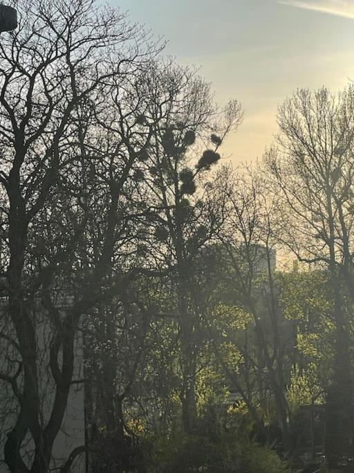 Stilvolles Augarten Refugium Wien Exteriör bild